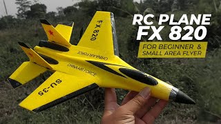 Flybear FX-820 2.4G EPP Remote Control | RC Plane for beginner and small area flyer | Backyard flyer