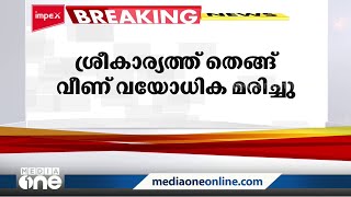 തിരുവനന്തപുരം ശ്രീകാര്യത്ത് തെങ്ങ് വീണ് 61കാരി മരിച്ചു