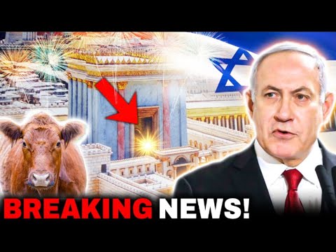 Red Heifers SECRETLY ARRIVED in JERUSALEM! Third Temple This MONTH?