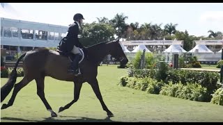 Equiline Riders | Heather Hays