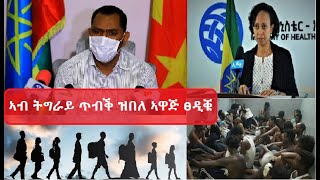 ናይ ምንቅስቓስ መሰል ተኸሊኦም ኣገልግሎት ክረኽቡ ዘይኸኣሉ ስደተኛታት ኢትዮጲያ\