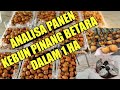 ANALISA PANEN KEBUN PINANG BETARA DALAM 1 HA