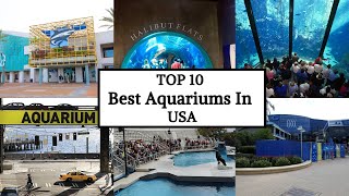 Top 10 Best Aquariums in the USA  #aquariumfish  || Luxury Channel By JL