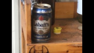 Werby's Beer Review: Labatt Blue.