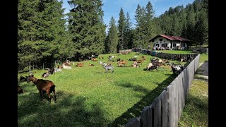 Wettersteinumrundung E-MTB, 07.08.2024