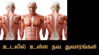 உடலில் உள்ள நவ துவாரங்கள் | Nava dwaras in Human Body