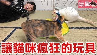 【玩具】讓貓咪嗨翻天的玩具?[NyoNyoTV妞妞TV玩具]