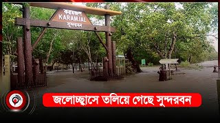 জলোচ্ছ্বাসে তলিয়ে গেছে সুন্দরবন | Sundarbans | Cyclone Rimal | Jago News