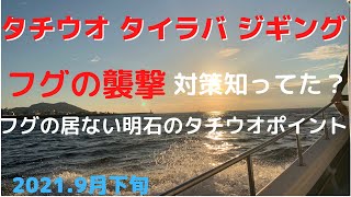 【タチウオ】【タイラバ】【ジギング】タチウオ釣りに行く前に見てください‼️今週は久々の釣り三昧😋タチウオ釣りで襲撃してくるフグの対策🎣横瀬まで行かずにタチウオの釣れるポイント🎣