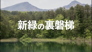 裏磐梯〈福島県北塩原村〉