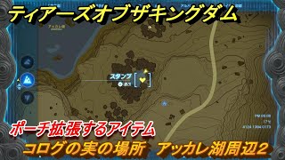 ティアキン　コログの実の場所　アッカレ湖周辺２　ポーチ拡張するアイテム　＃８０２　【ゼルダの伝説ティアーズオブザキングダム】