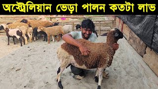 অস্ট্রেলিয়ান ভেড়ার খামার!! অস্ট্রেলিয়ান ভেড়া পালন কতটা লাভ