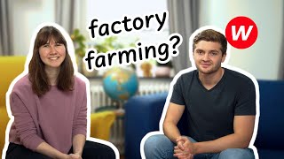 Where does our meat come from? | Englisch-Video für den Unterricht