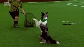 Dog Dancing European Championship 2023 Hungary – Freestyle Qualificion Alena Smolikova – Foxy