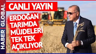 CANLI I Erdoğan Ziraat Bankası Tarım Ekosistemi Buluşması'nda Konuşuyor