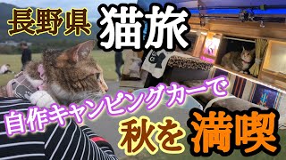 【猫旅】自作キャンピングカーで猫と一緒に車中泊旅🐾長野へ。