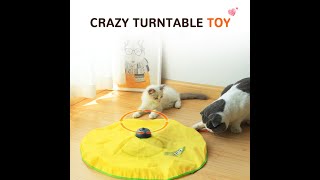 crazy turntable toy