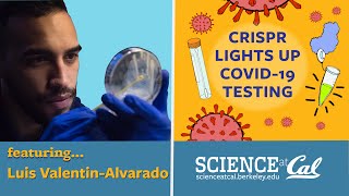 CRISPR Lights Up COVID-19 Testing: Featuring Luis Valentin-Alvarado