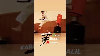 Karate Kicks | Ushiro Geri #shorts #viral