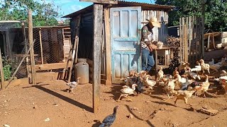 Domingo tbm é dia Vem acompanhar comigo a rotina da manhã do domingo 🙌🏽🙏🏽🤠