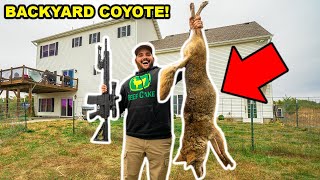 My First COYOTE in My BACKYARD!!! (Lucky Shot)