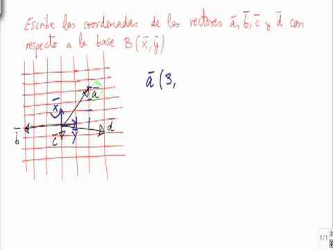 Problemas Resueltos De Vectores Bases Y Coordenadas Ejercicio 1 - YouTube