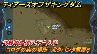 ティアキン　コログの実の場所　北タバンタ雪原６　武器枠拡張アイテム入手　＃１３４６　【ゼルダの伝説ティアーズオブザキングダム】