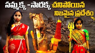 సమ్మక్క తల్లి అదృశ్యమైన ప్రదేశం ||చిలకల గుట్ట \u0026 కన్నెపల్లి ||The Real place of sammakka #bhavitha