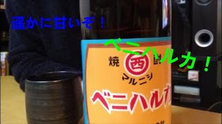 【芋焼酎】遥かに甘いベニハルカ