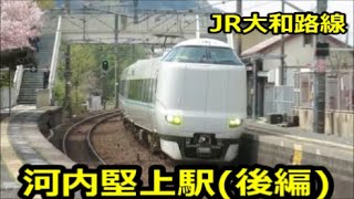 【河内堅上駅・後編】201系＆221系普通や通過する快速など臨時特急まほろば・直通快速含む【JR大和路線】