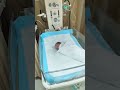 new born baby mohita babygirl newborn shorts cute love baby