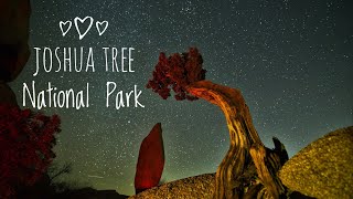 Joshua Tree National Park|约书亚树国家公园｜landscape photographer 风光摄影｜ Hiking|徒步｜camping|露营｜new year 迎新年