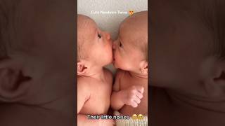 The precious moments of newborn twins babies 🥰❤️