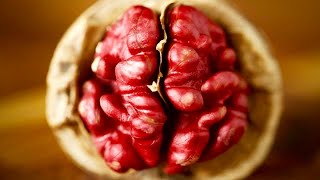 5 Incredible Health Benefits Of Red Walnuts