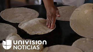 Golpe al bolsillo de los mexicanos: se registra un nuevo incremento en el precio de las tortillas