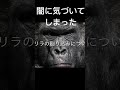 ゴリラの刷り込みについて　 都市伝説　 陰謀　 陰謀論　 ゴリラ　 解説