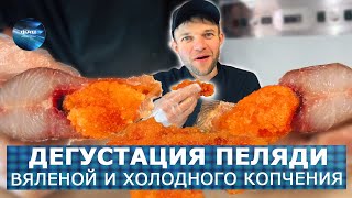 ПЕЛЯДЬ вяленая и холодного копчения. Дегустация в торговом зале.  Вкусно, Жирно, Проверка качества.