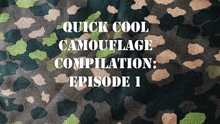 Quick Cool Camouflage Compilation: Episode 1