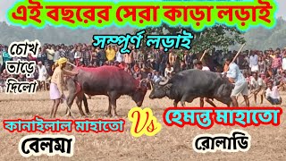 এই বছরের সেরা কাড়া লড়াই। হেমন্ত মাহাতো রোলাডি বনাম কানাইলাল মাহাতো বেলমা।#puruliakaralorai