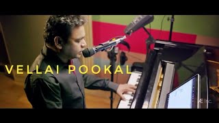 Vellai Pookal - A R Rahman | One Heart