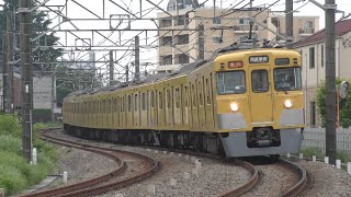 【2403F+2059F・両編成ともに引退済み】西武新宿線2000系2403F+2059F急行西武新宿行き @小平～花小金井(昭和病院カーブ)