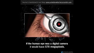 Human Eye 576 Megapixel দেখুন মানুষের চোখ ৫৭৬ মেগাপিক্সেল ক্যামেরা !সৃষ্টি বড়ই অদ্ভূত।