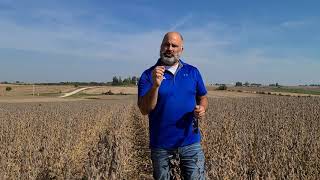 4 Reasons Why Soybeans are Yielding 10-15% Higher than Normal This Year | Arlington, IA