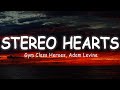 Gym Class Heroes - Stereo Hearts - Ft  Adam Levine [lyrics/vietsub]