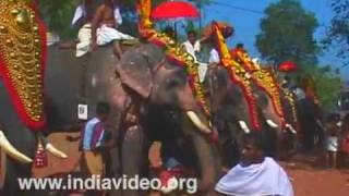 Anayadi Temple Elephant Pageantry Festival  Sooranad mpeg2video