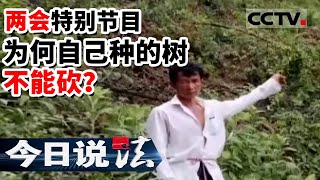 《今日说法》公平正义新时代 村民因砍树被抓 为何传统的砍树盖房会涉及到犯法？——两会特别节目 20220308 | CCTV今日说法频道