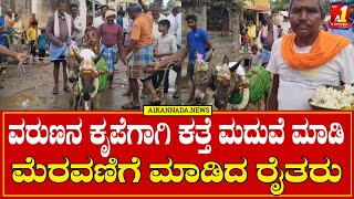 HAVERI: ರಾಣೇಬೆನ್ನೂರು ನಗರದಲ್ಲಿ ವರುಣನ ಕೃಪೆಗಾಗಿ ಕತ್ತೆ ಮದುವೆ ಮಾಡಿ ಮೆರವಣಿಗೆ ಮಾಡಿದ ರೈತರು.