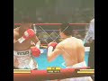 JULIO CESAR CHAVEZ VS PERNELL WHITAKER 2 HIGHLIGHTS VIDEOGAME SIMULATION