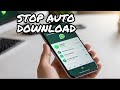 How to Stop WhatsApp Auto Download in Easy Steps