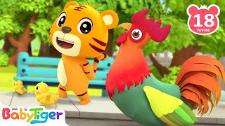 Animal Dance Song🐷🐰🐥 + More Animals Kids Songs & Nursery Rhymes | Educational Songs | BabyTiger